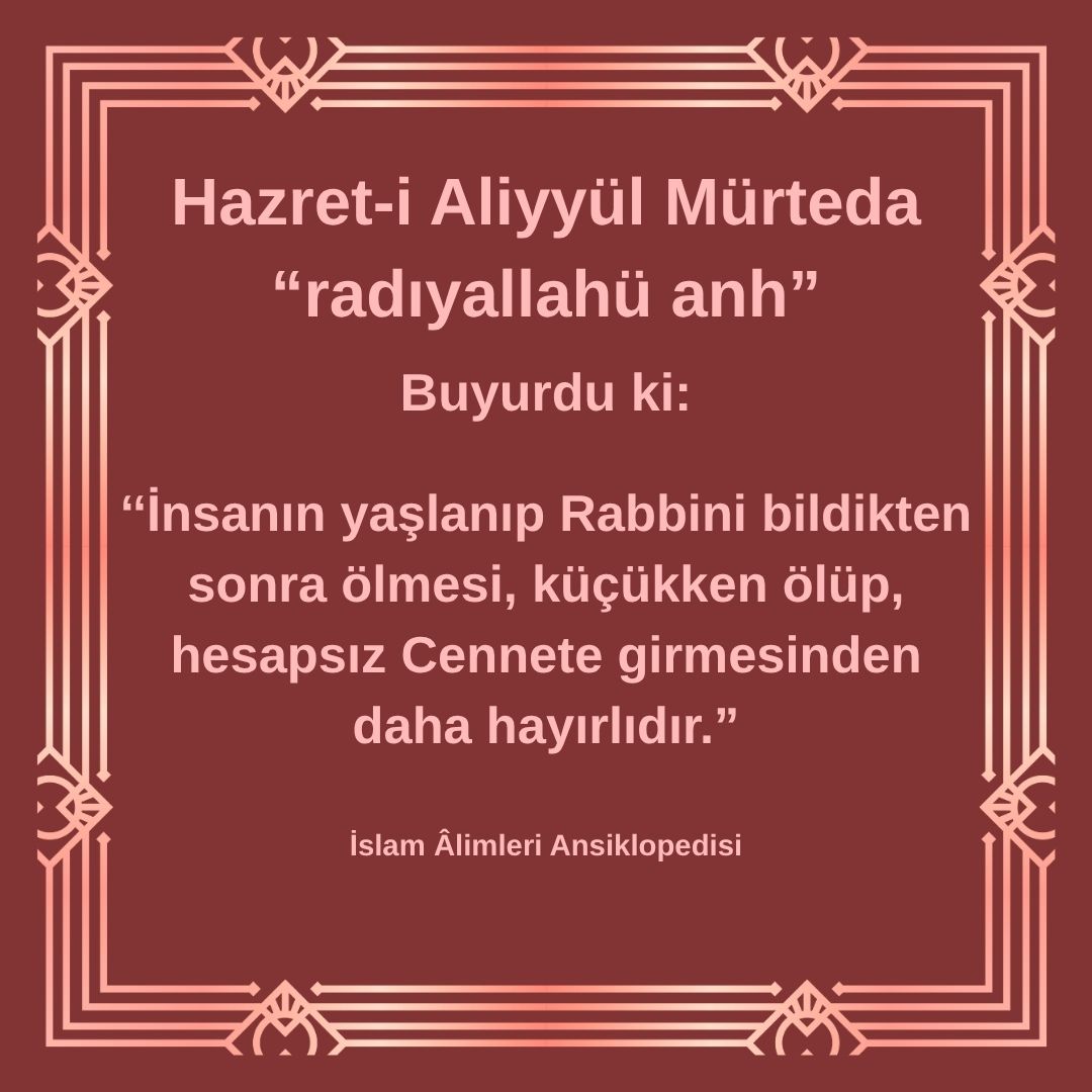 Aliyyül Mürteda (39)